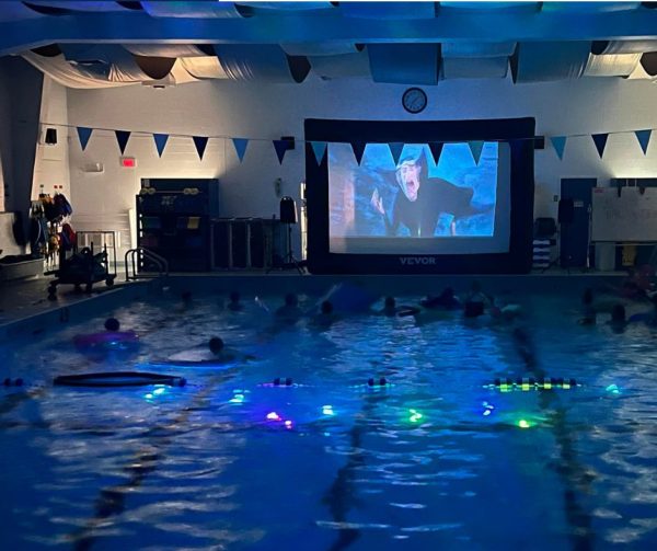 ciné-piscine —